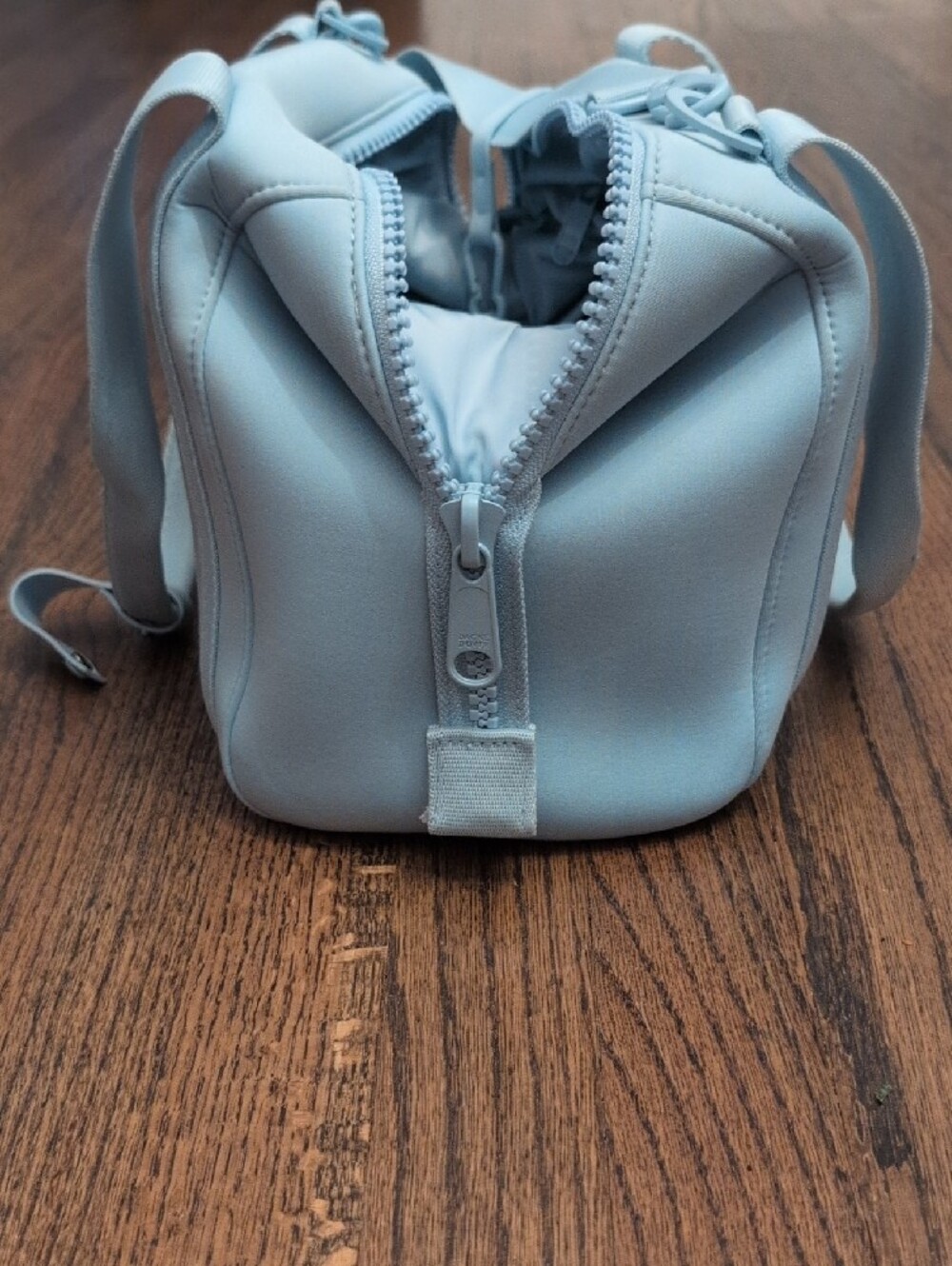 Small Dagne Dover Powder Blue Mini Duffel With Dust Cover - Picture 6 of 11